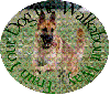 walk-logo