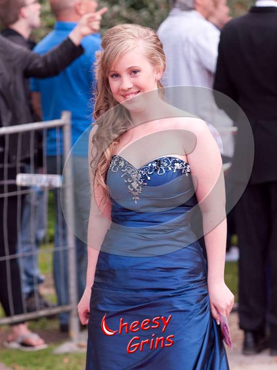 YP2011-Red-Carpet-017.jpg
