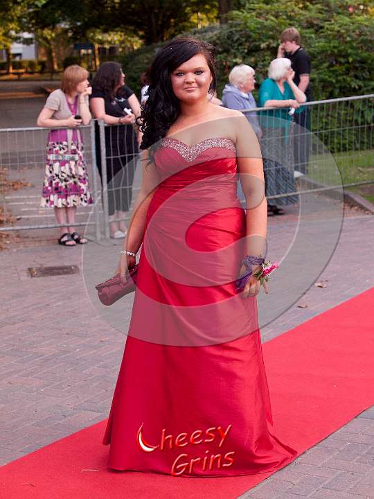 YP2011-Red-Carpet-166.jpg